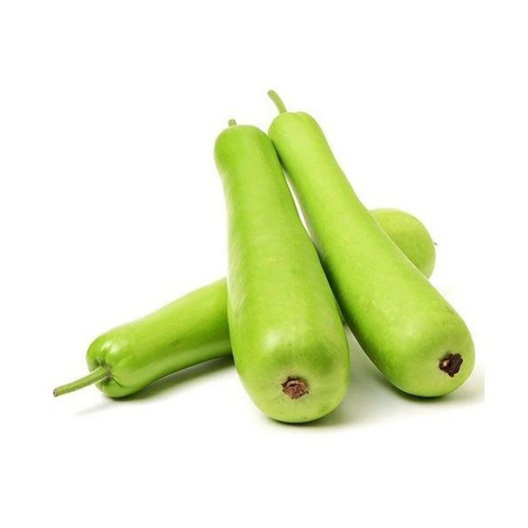 Wholesale Bottle Gourd Kuwait